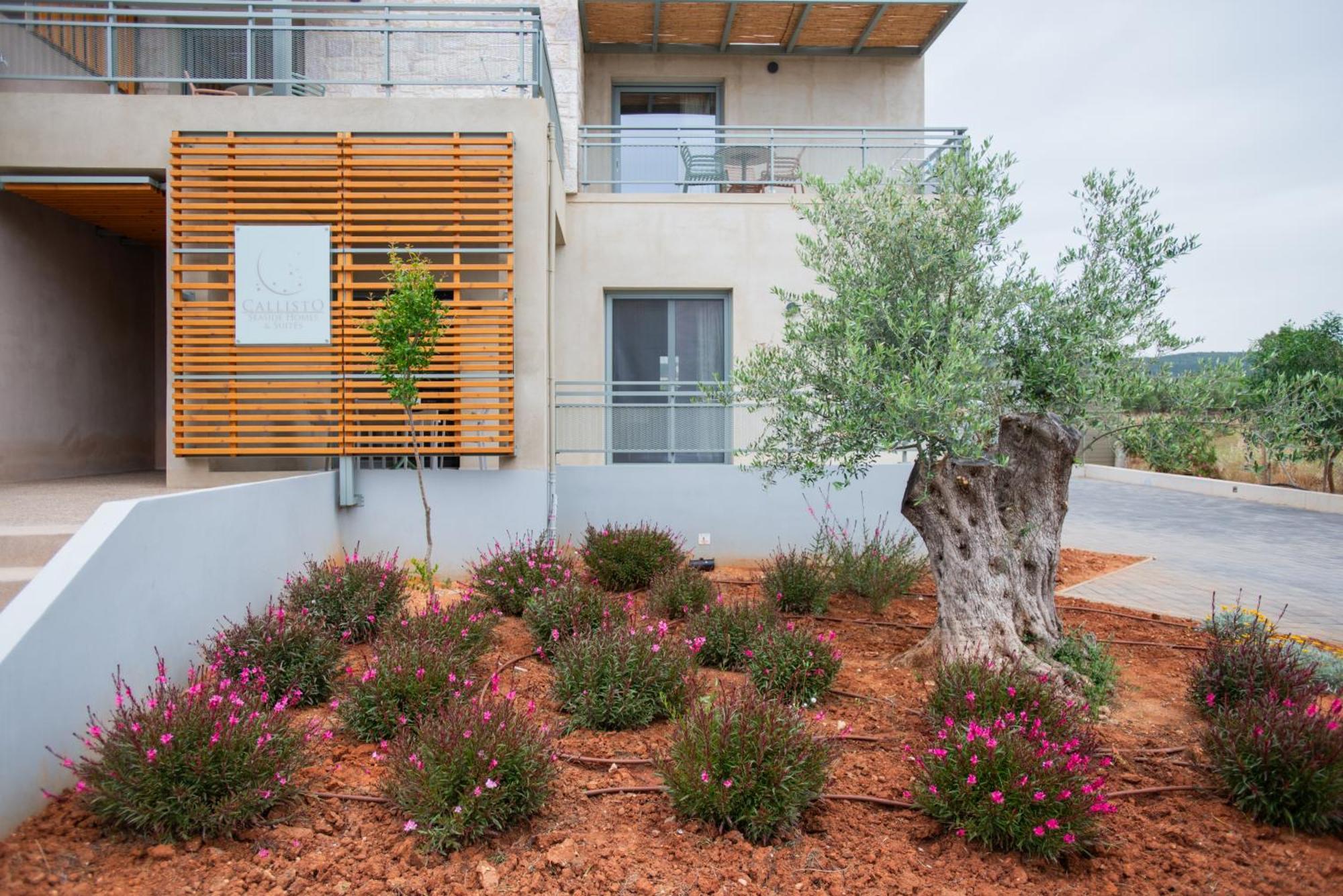 מרתופוליס Callisto Seaside Homes & Suites מראה חיצוני תמונה
